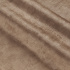 Titanium 290