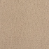 Coco 260