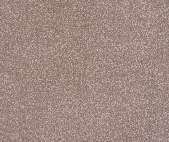 Caramello com 03